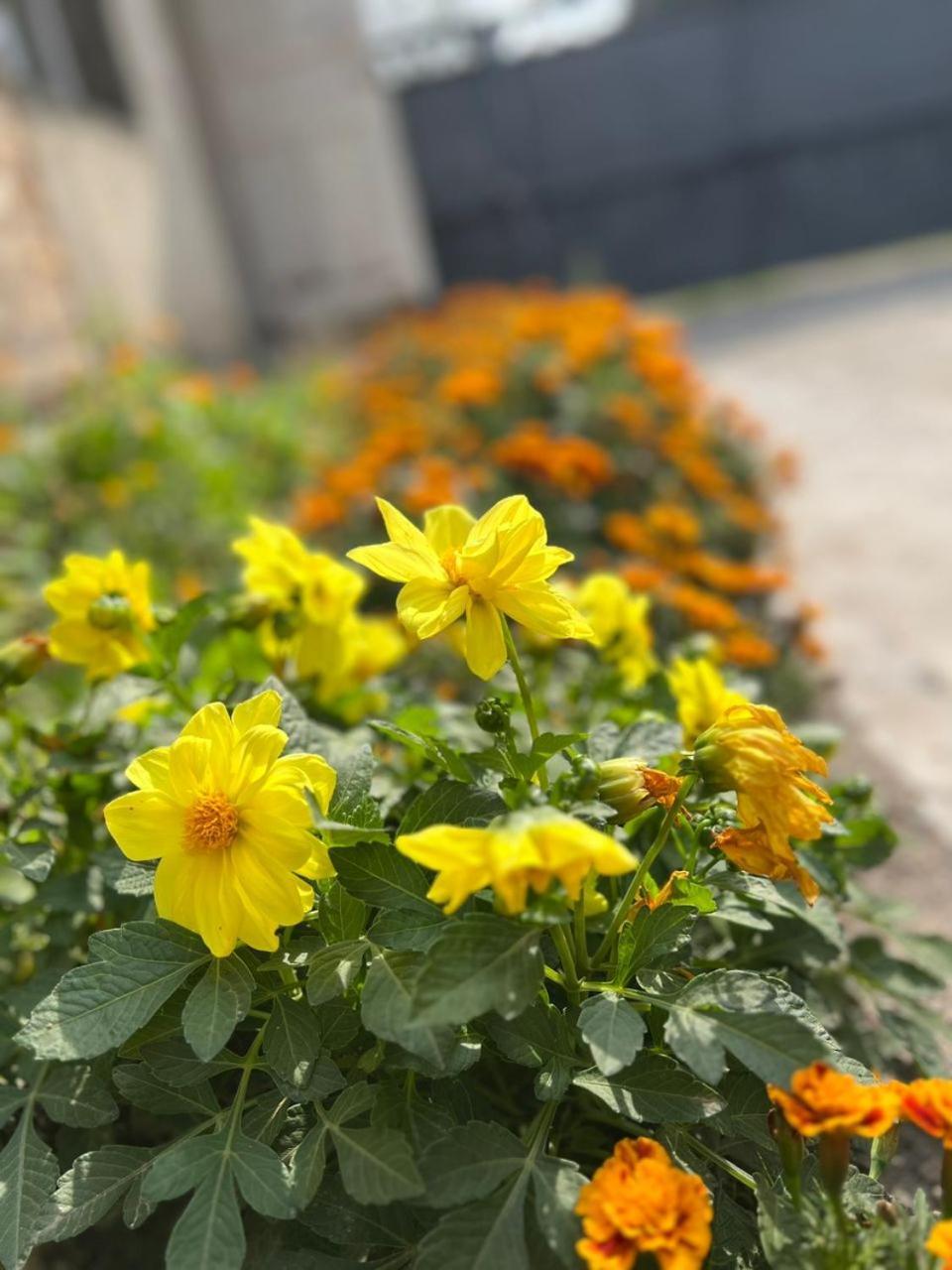 Hostel Edem Bishkek Tokoldosh Zewnętrze zdjęcie